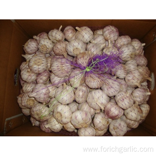 Good Normal White Garlic Packed In 10kg carton